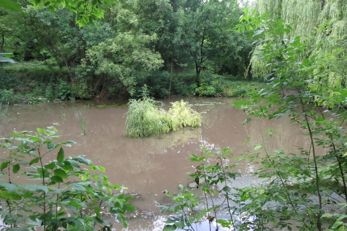 Шляківка: як виглядає водойма Шляківка: як виглядає водойма