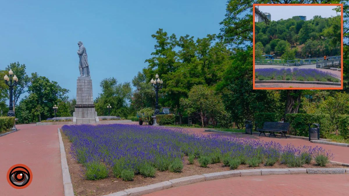 У Дніпрі на Монастирському острові відбудеться пінна вечірка