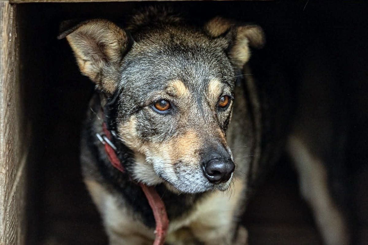 Маруся Маруся