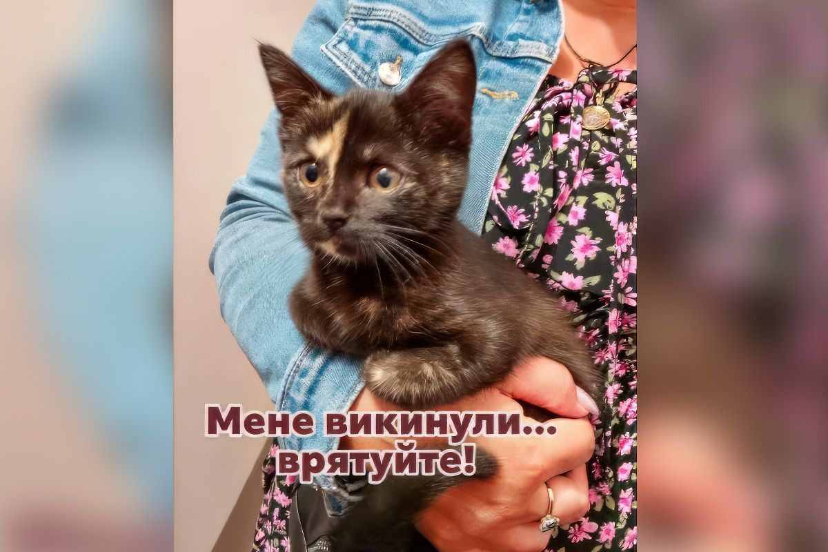 Кішечка