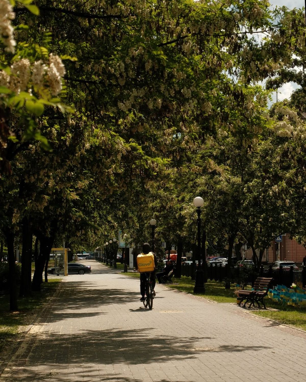 Фото: @ph_deniska Якби у Дніпра був Instagram: топ красивих світлин міста 6