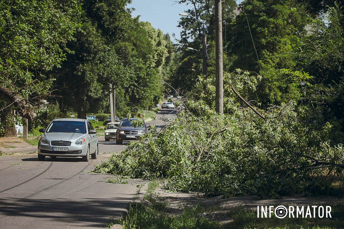 У Дніпрі на Надії Алексєєнко на дорогу впало дерево та заблокувало рух: на місці працюють рятувальники 1