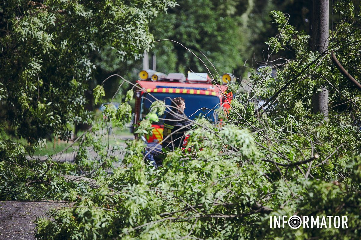 У Дніпрі на Надії Алексєєнко на дорогу впало дерево та заблокувало рух: на місці працюють рятувальники 2