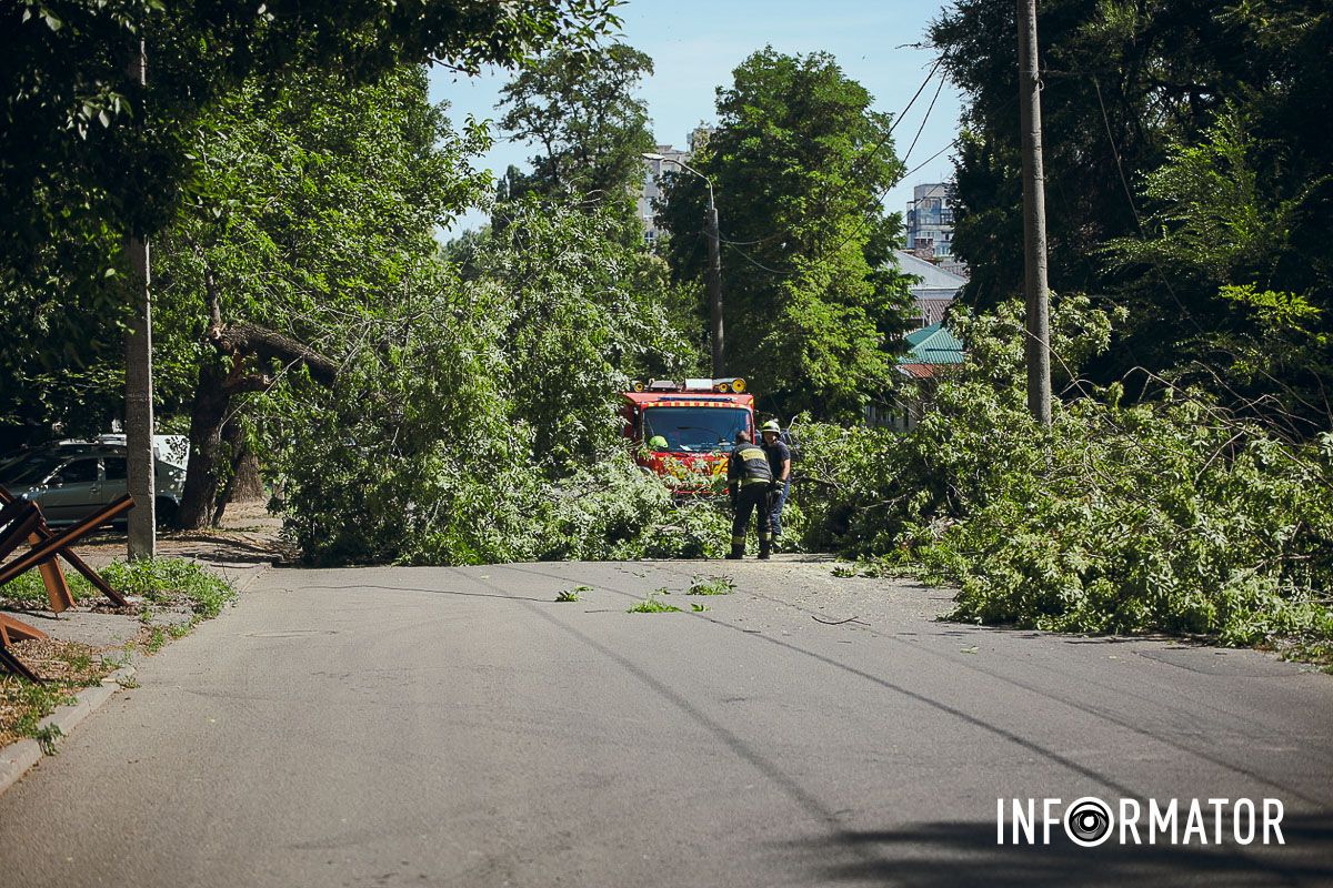 У Дніпрі на Надії Алексєєнко на дорогу впало дерево та заблокувало рух: на місці працюють рятувальники 3