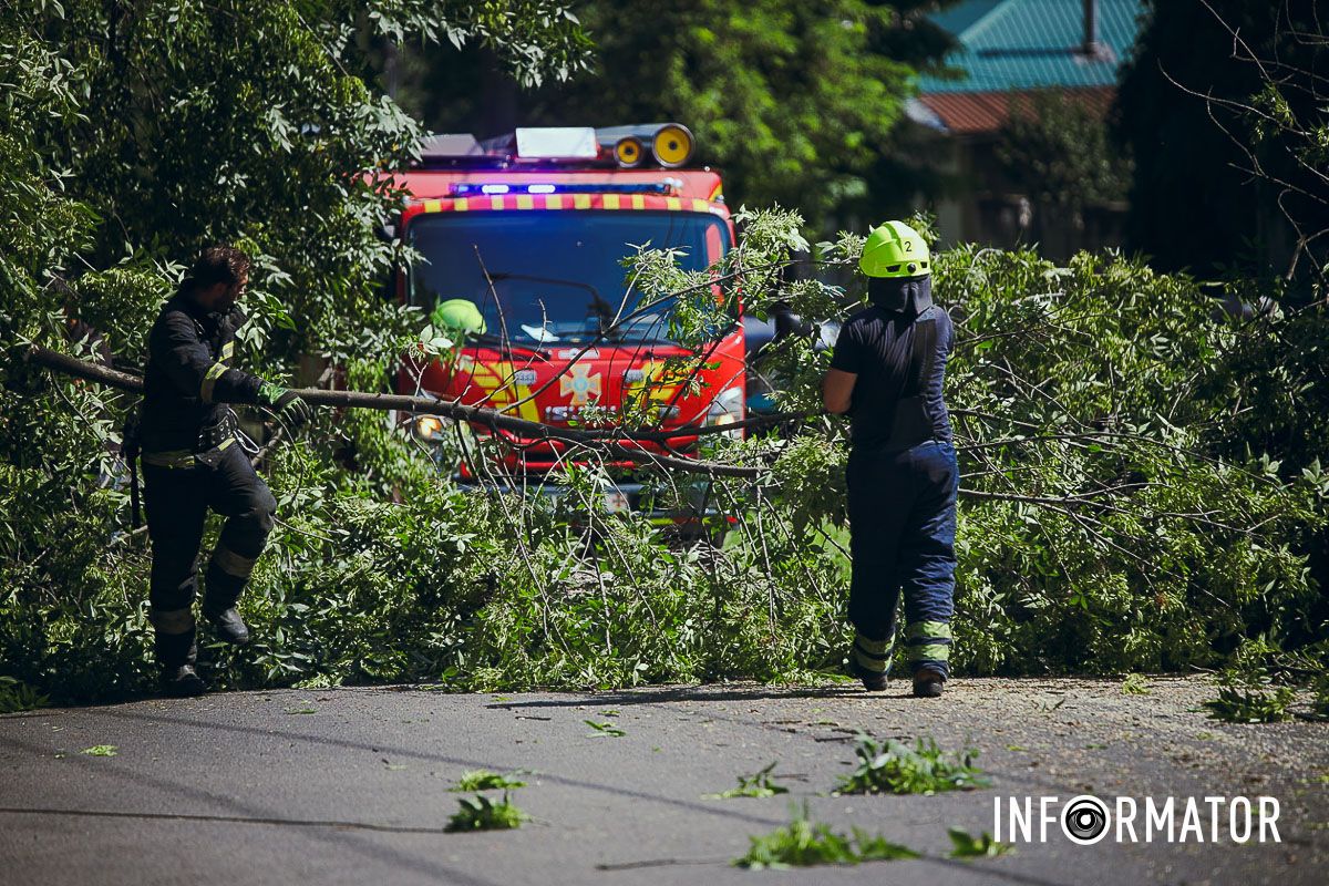 У Дніпрі на Надії Алексєєнко на дорогу впало дерево та заблокувало рух: на місці працюють рятувальники 6
