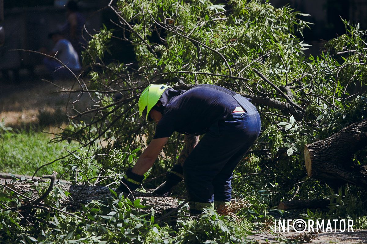 У Дніпрі на Надії Алексєєнко на дорогу впало дерево та заблокувало рух: на місці працюють рятувальники 10