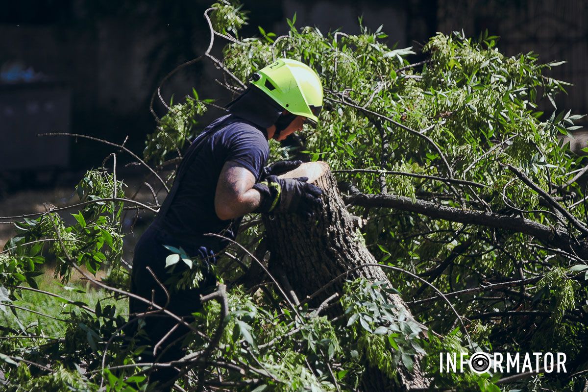 У Дніпрі на Надії Алексєєнко на дорогу впало дерево та заблокувало рух: на місці працюють рятувальники 9