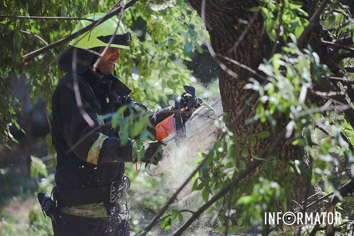 У Дніпрі на Надії Алексєєнко на дорогу впало дерево та заблокувало рух: на місці працюють рятувальники 8