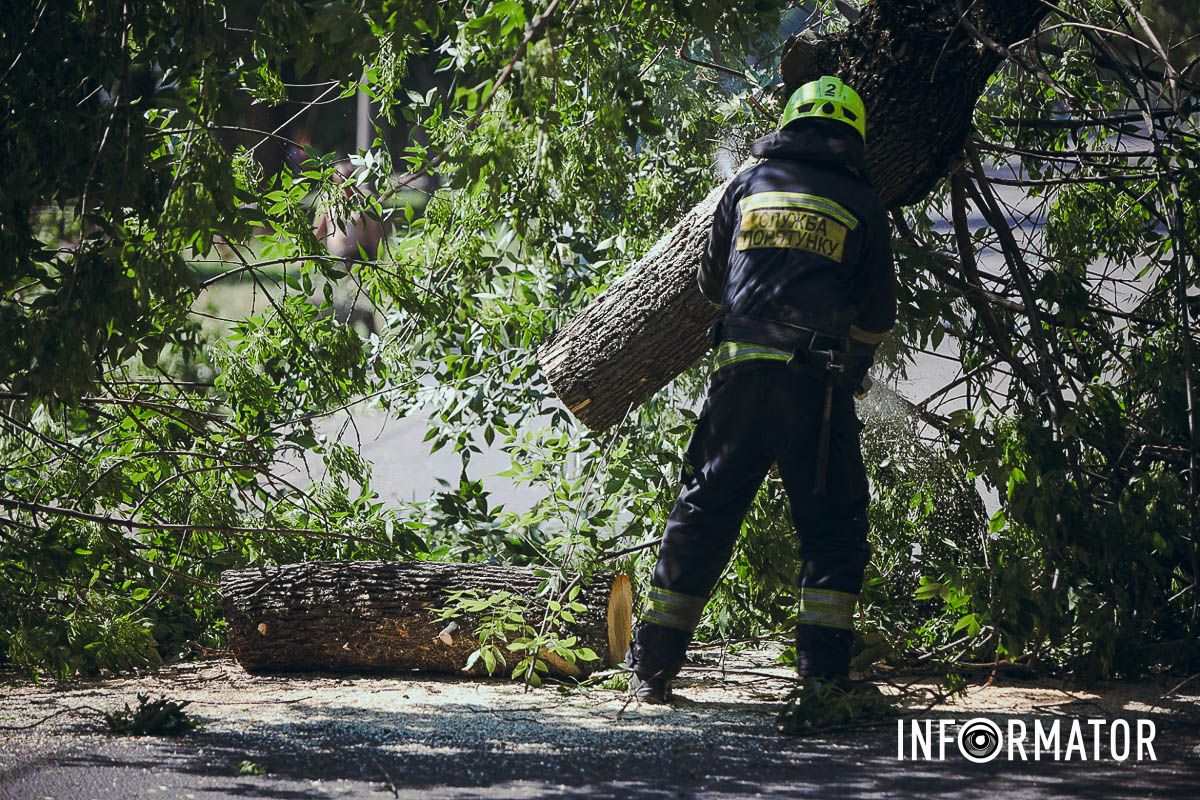 У Дніпрі на Надії Алексєєнко на дорогу впало дерево та заблокувало рух: на місці працюють рятувальники 11