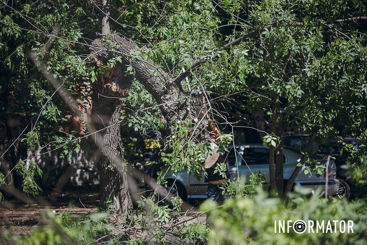 У Дніпрі на Надії Алексєєнко на дорогу впало дерево та заблокувало рух: на місці працюють рятувальники 15