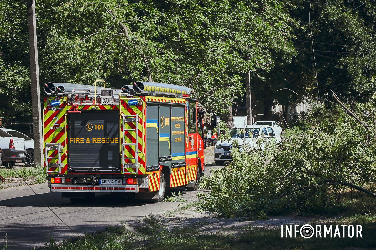 У Дніпрі на Надії Алексєєнко на дорогу впало дерево та заблокувало рух: на місці працюють рятувальники 14