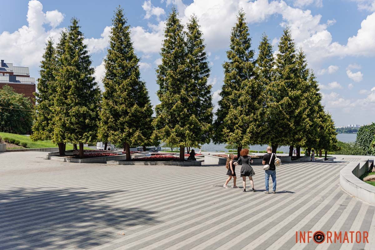 В Днепре в парке Шевченко расцвели бегонии: где искать 20