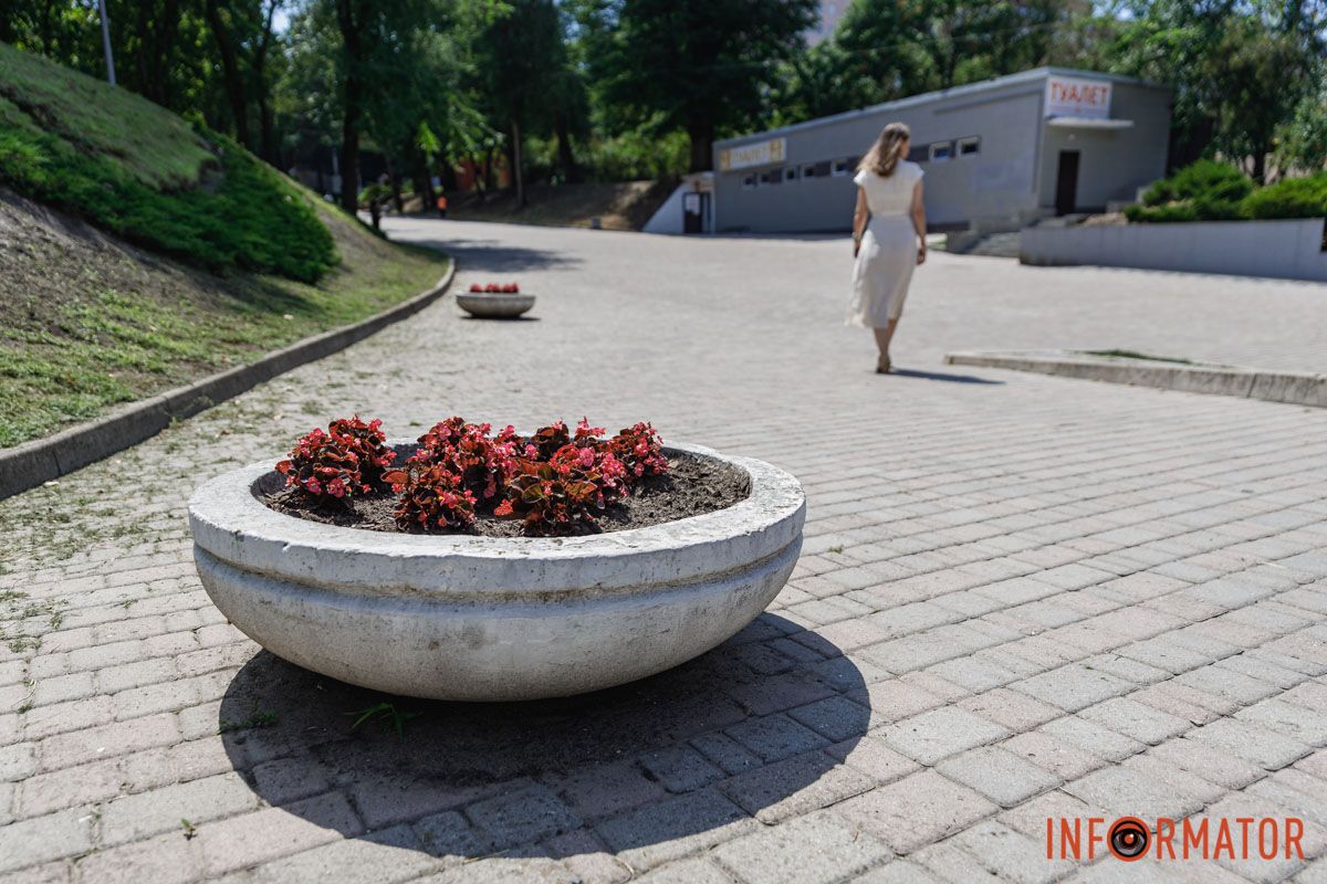 В Днепре в парке Шевченко расцвели бегонии: где искать 19