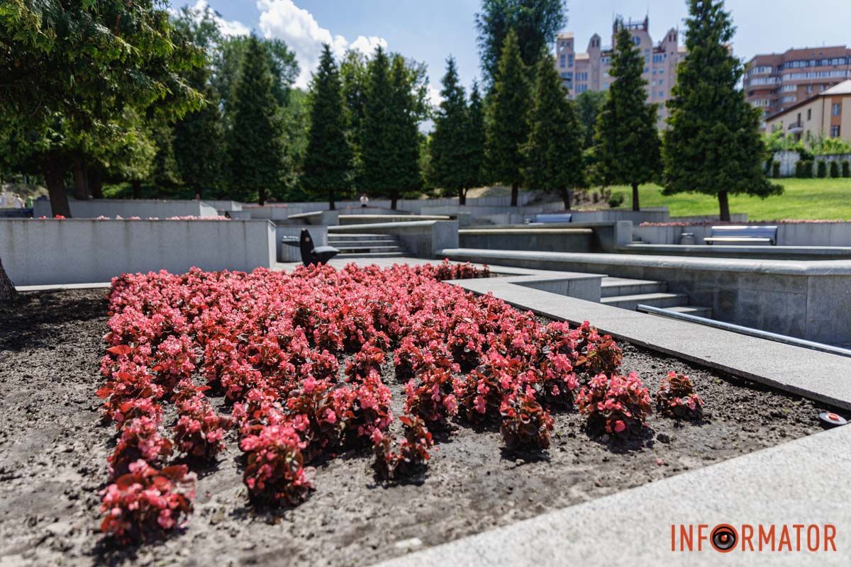 В Днепре в парке Шевченко расцвели бегонии: где искать 24