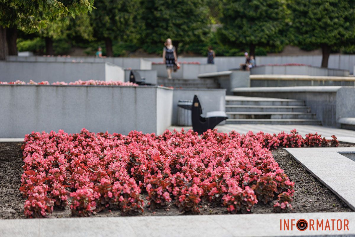 Зеленая терапия