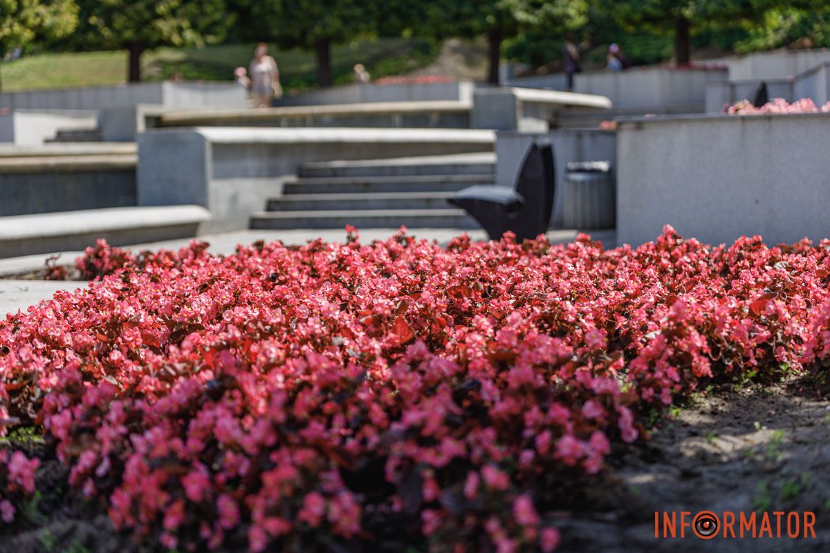 Природа говорит на языке цветов