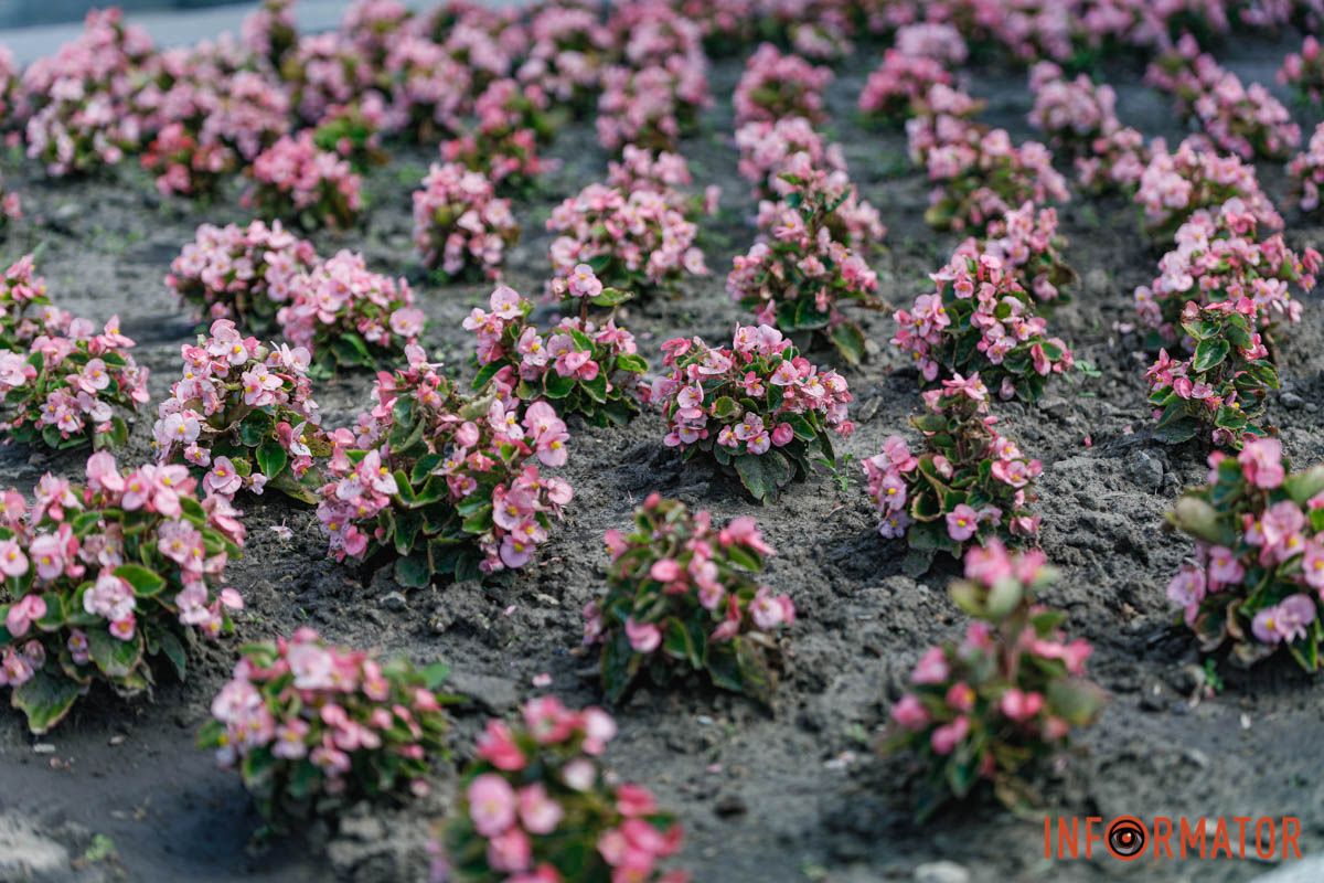 Заряжающий настроением цвет