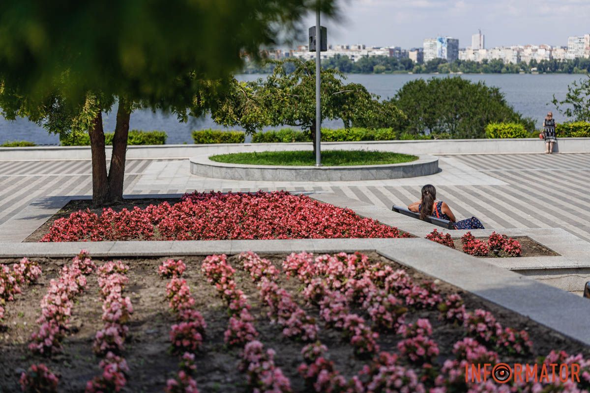 Розовое чудо в клумбе