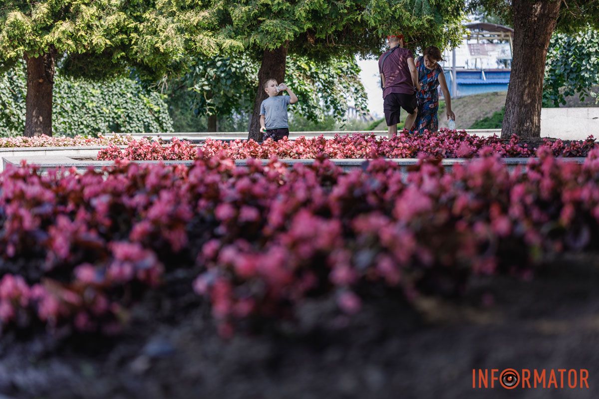 Вдохновляющие цвета: бегония во всей красе