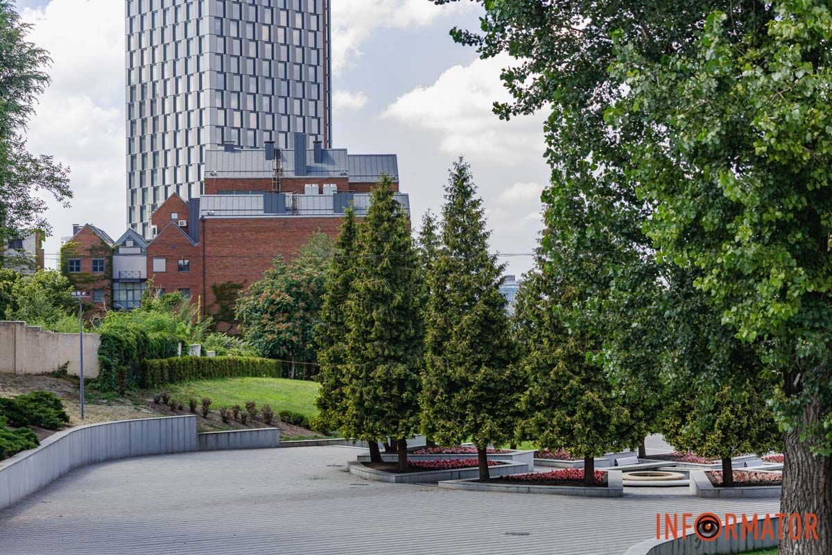 Красота бегонии не имеет границ