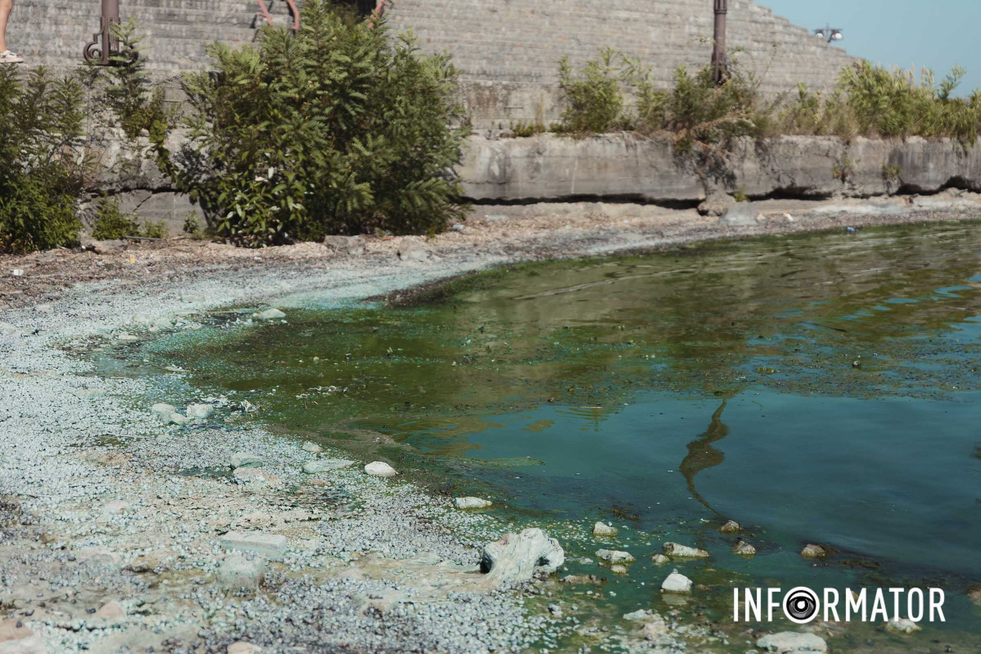 Вода тут помітно обміліла Річка в Дніпрі позеленіла і смердить: що відбувається на набережній 7