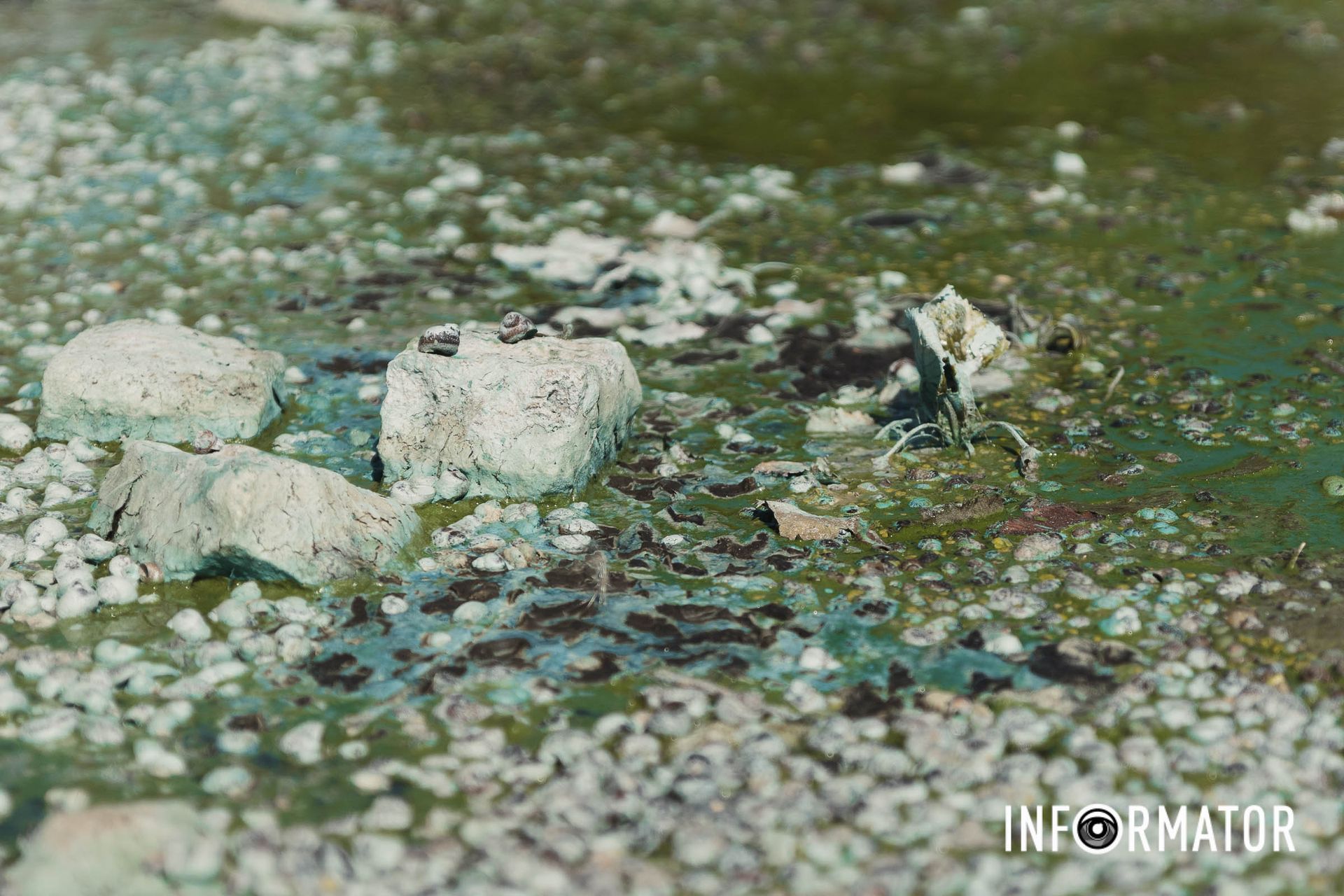 Запах — різкий, неприємний, відчувається здалеку Річка в Дніпрі позеленіла і смердить: що відбувається на набережній 8