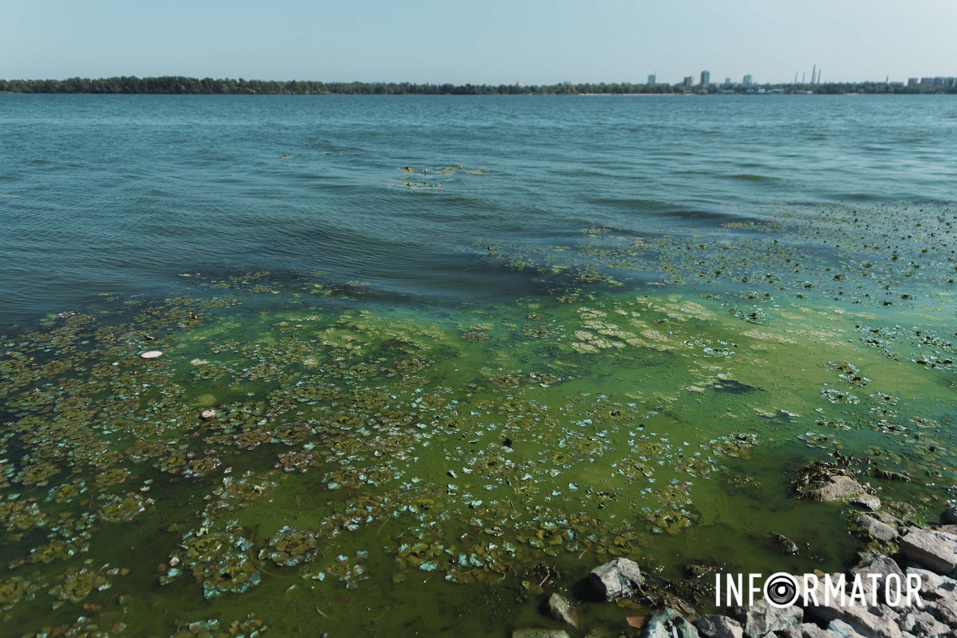 Подібна ситуація і біля «Поплавка» Річка в Дніпрі позеленіла і смердить: що відбувається на набережній 14