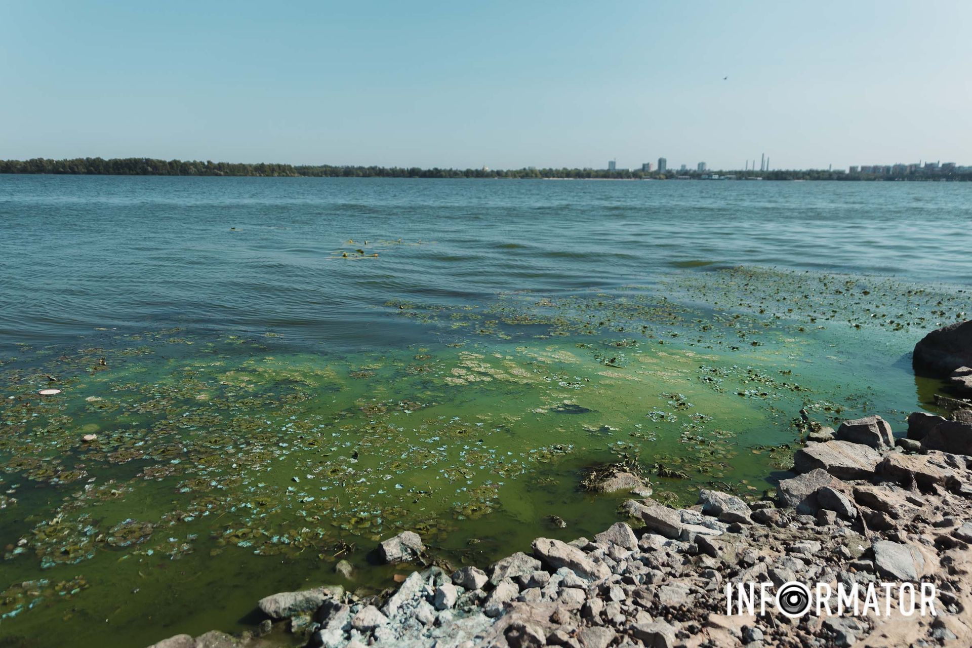 На поверхні плаває муть і водорості Річка в Дніпрі позеленіла і смердить: що відбувається на набережній 16