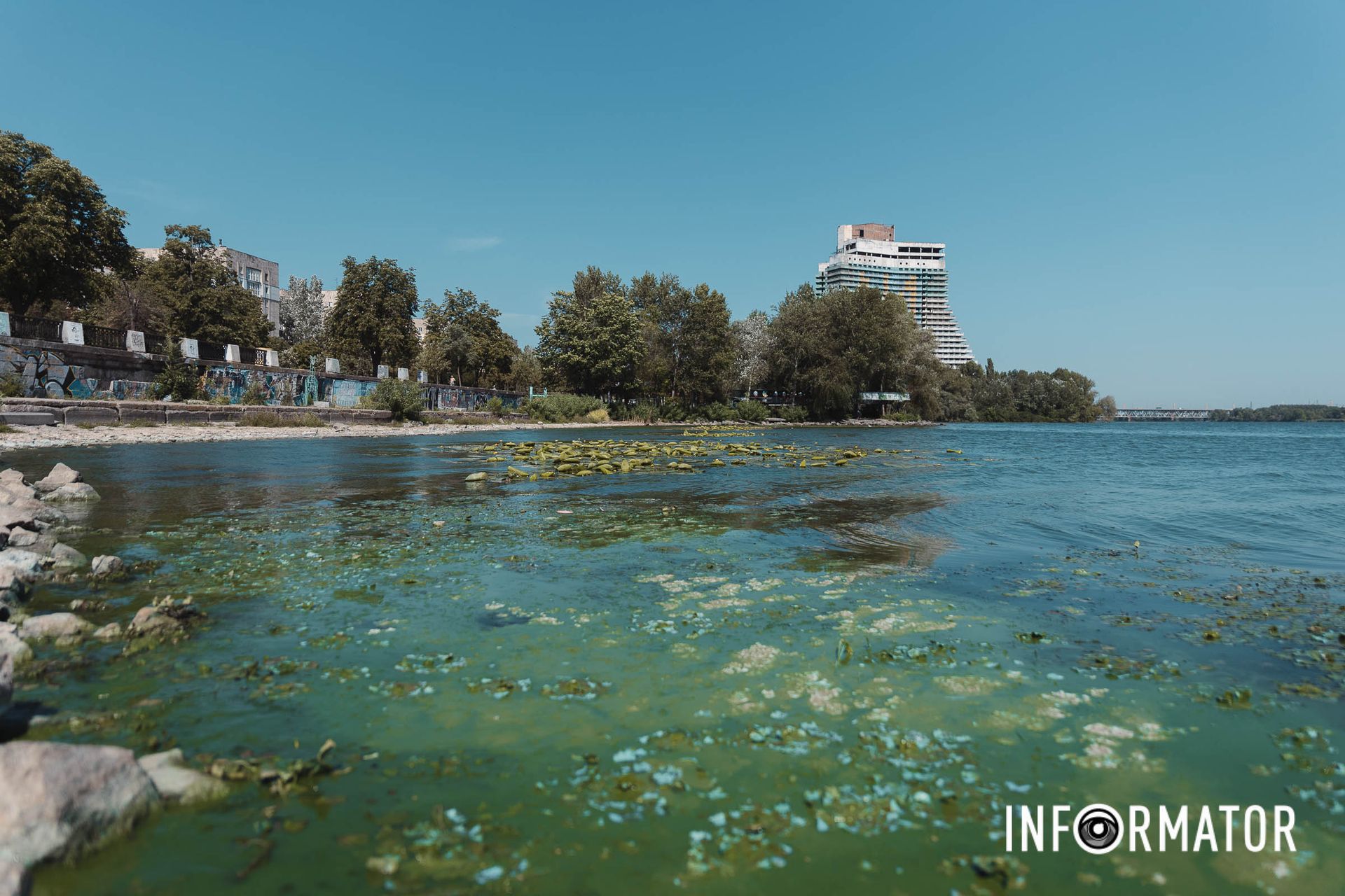 Мутна вода і водорості Річка в Дніпрі позеленіла і смердить: що відбувається на набережній 20
