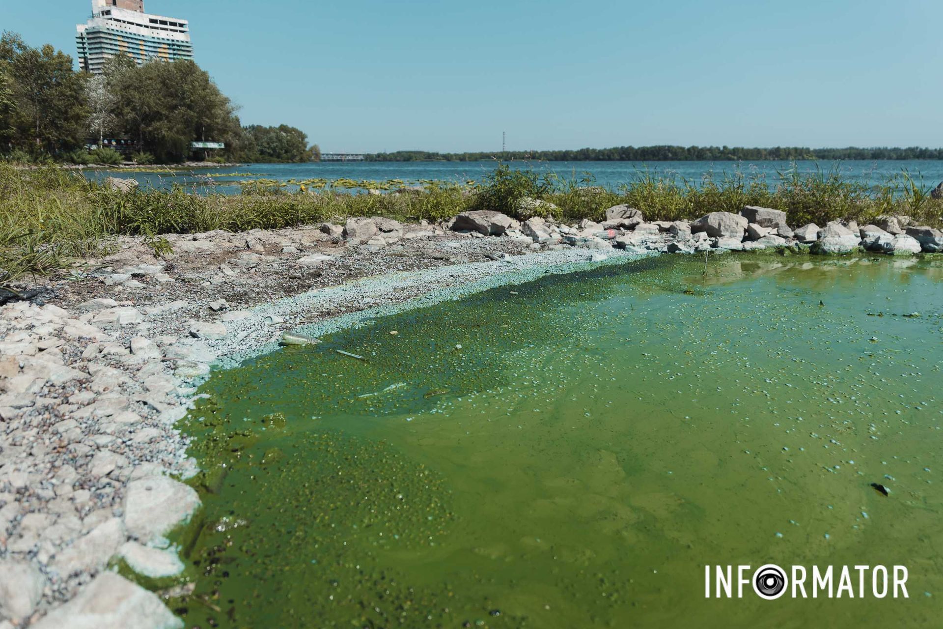 Зелене дзеркало з різким запахом Річка в Дніпрі позеленіла і смердить: що відбувається на набережній 24