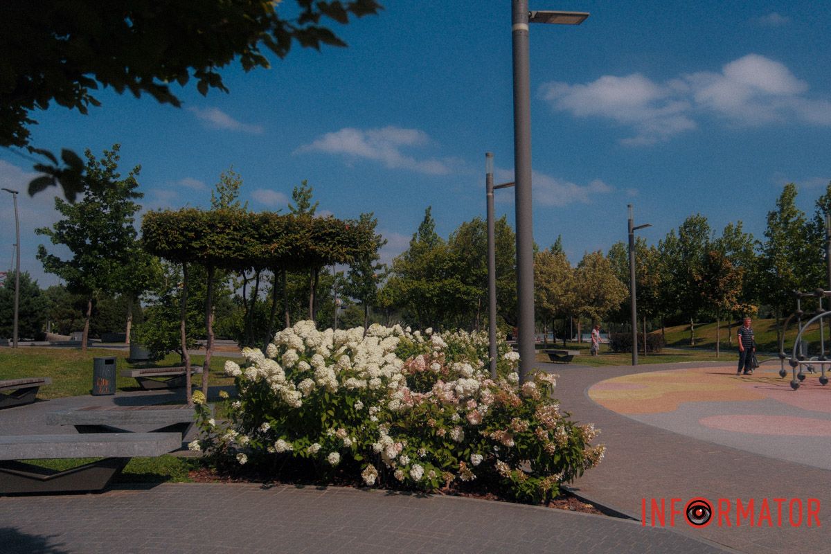 Ніжні, як дотик ранкового туману