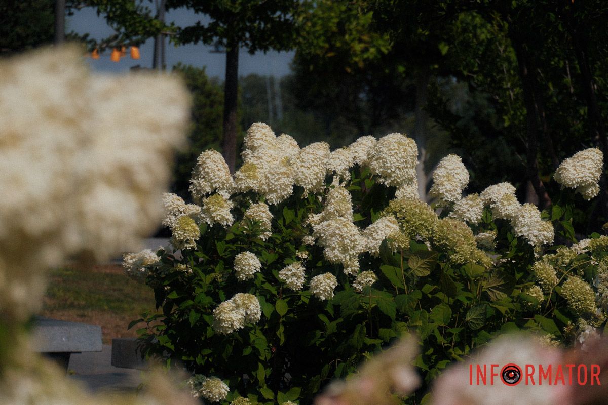 Маленький садовий шедевр