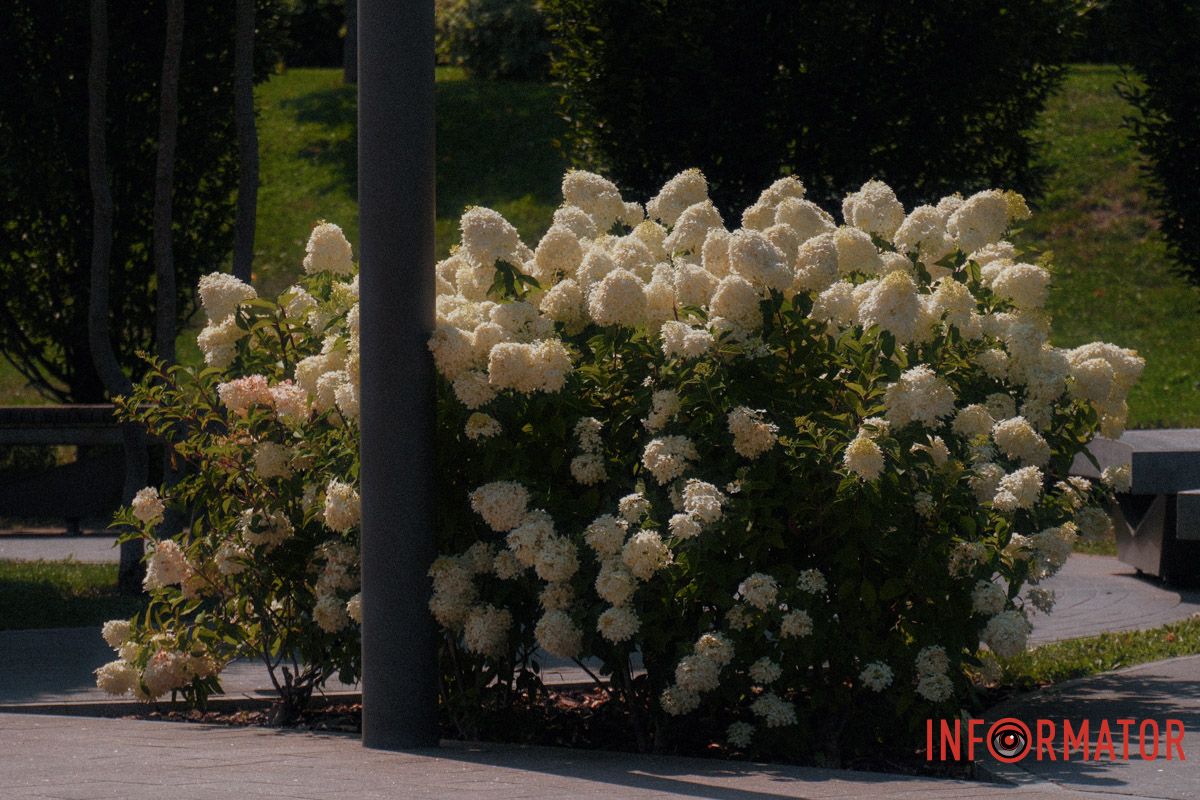 Природа створює мистецтво краще за всіх