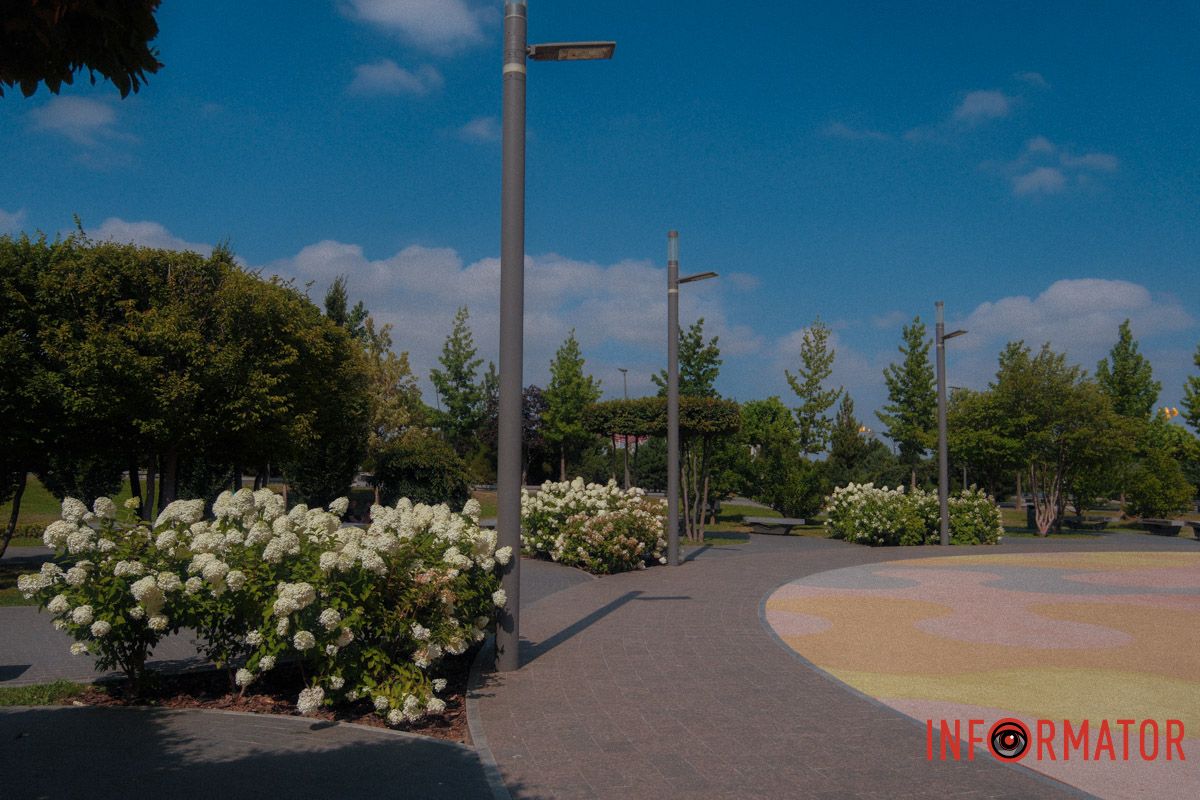 Гортензія — це музика в кольорі