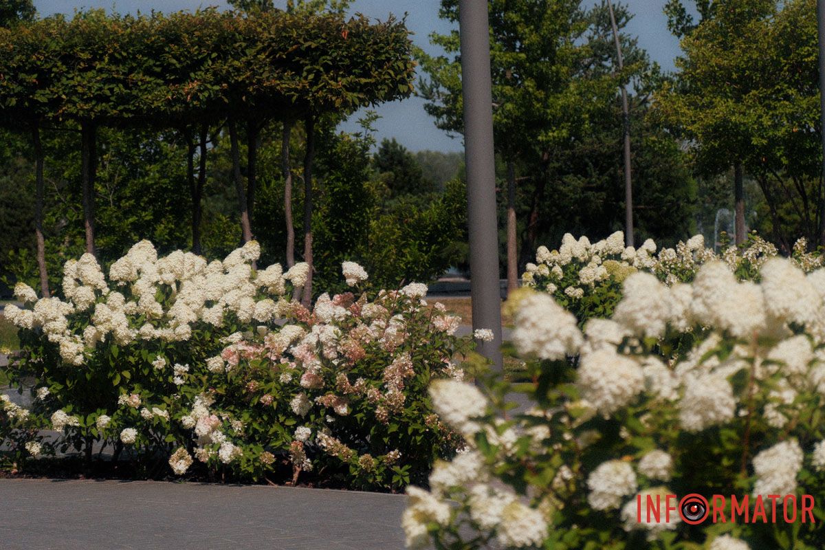 Коли краса розквітає без зусиль