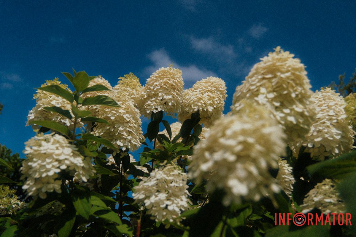 Гармонія у формі кулі 