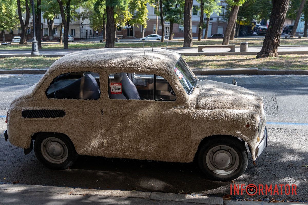 Люди останавливаются, фотографируются и касаются ее "шерсти" В центре Днепра стоит "меховой" автомобиль: как он выглядит 6