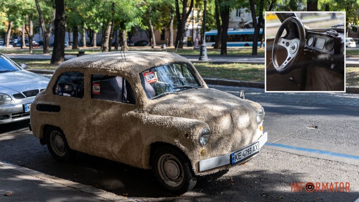 В центре Днепра стоит "меховой" автомобиль: как он выглядит