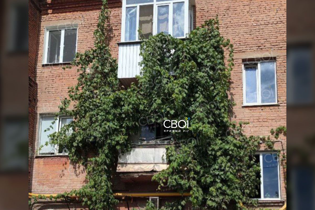 2 августа в Кривом Роге в районе автовокзала 74-летний мужчина срезал виноград