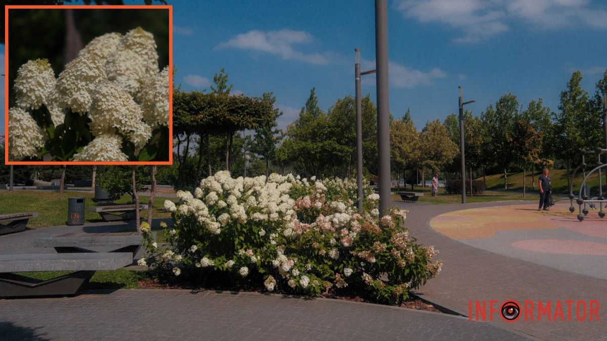 В Днепре 5 августа утром будет облачно, днем и вечером - ясно