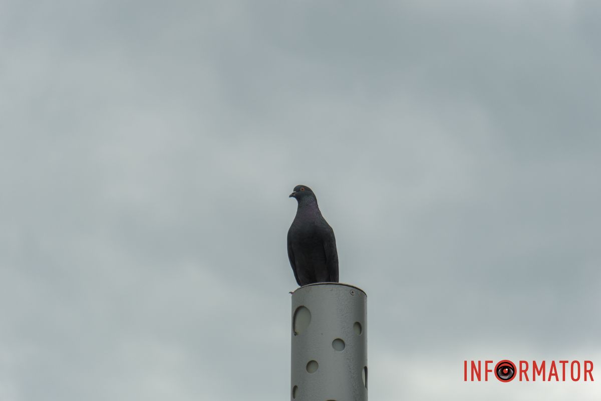 Плавное время вместе с облаками