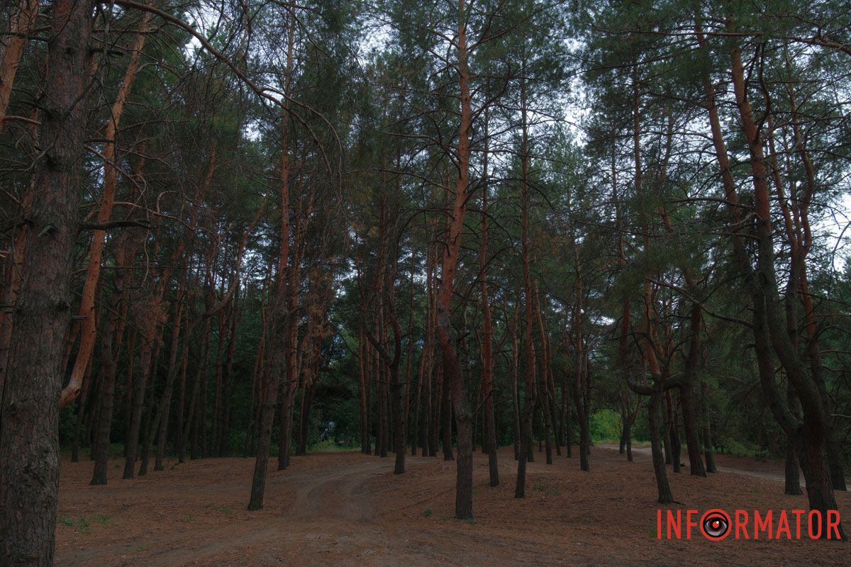 Серое небо - серый день