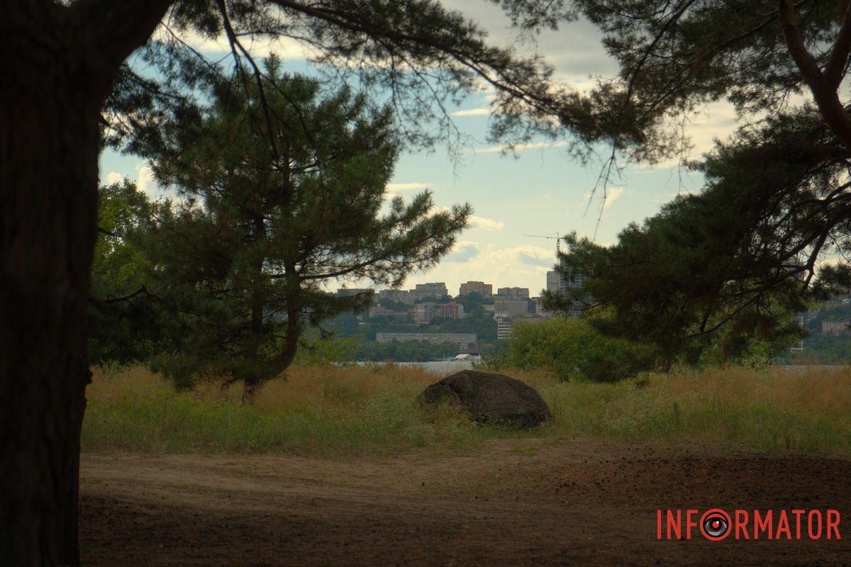 Мир на паузи