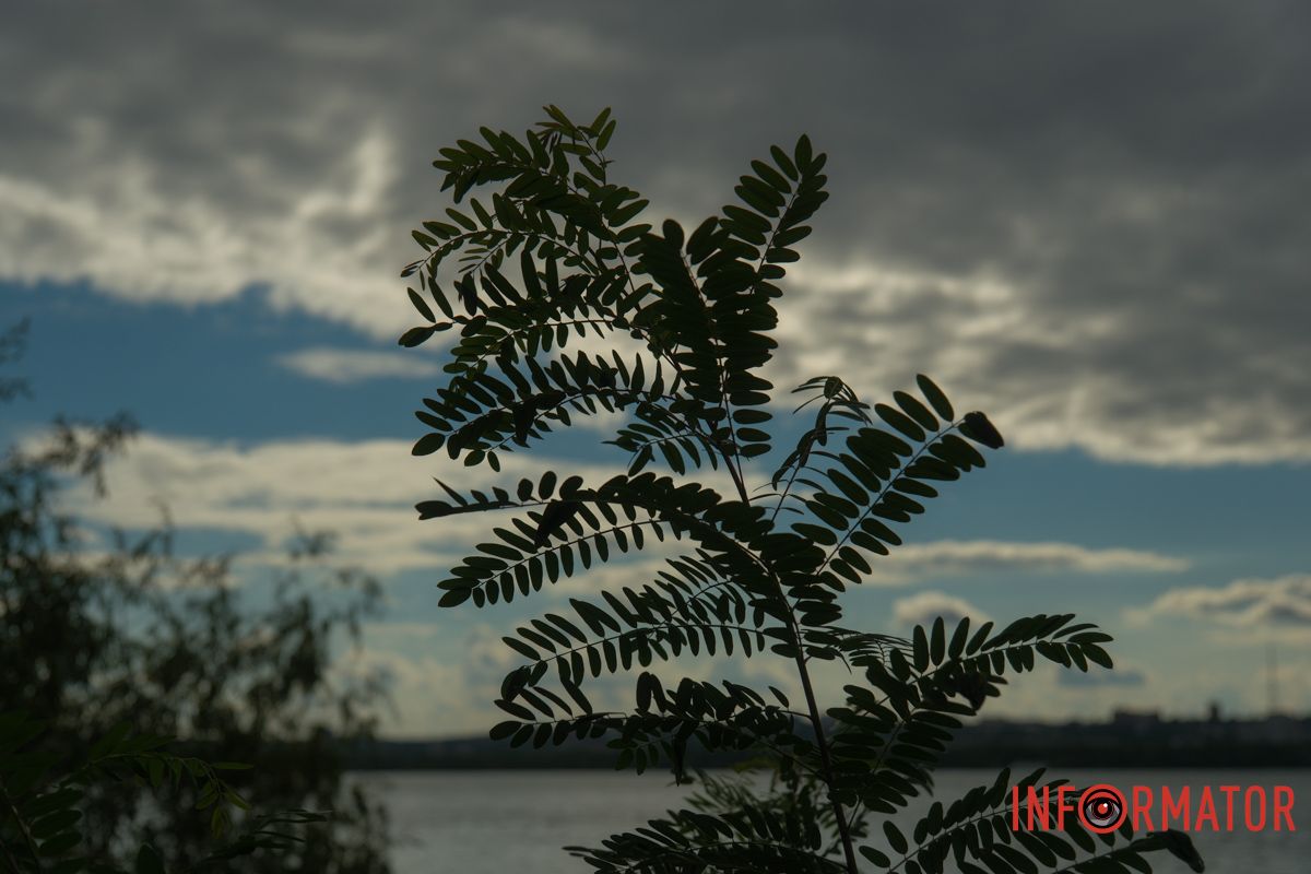 Меланхолия над водой