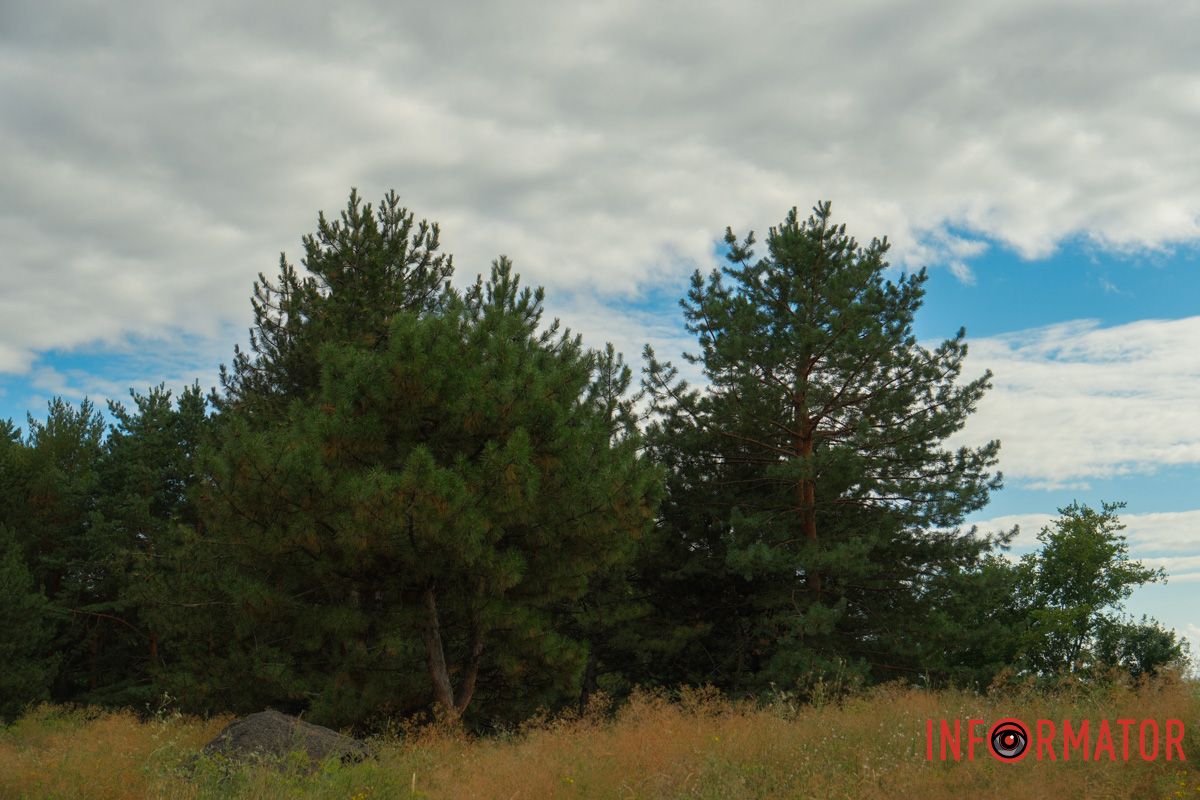 Облака нависли, но не давят