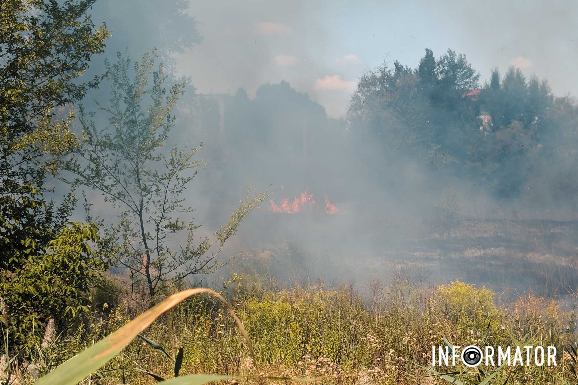 В районі будинку №798 загорівся очерет та суха трава