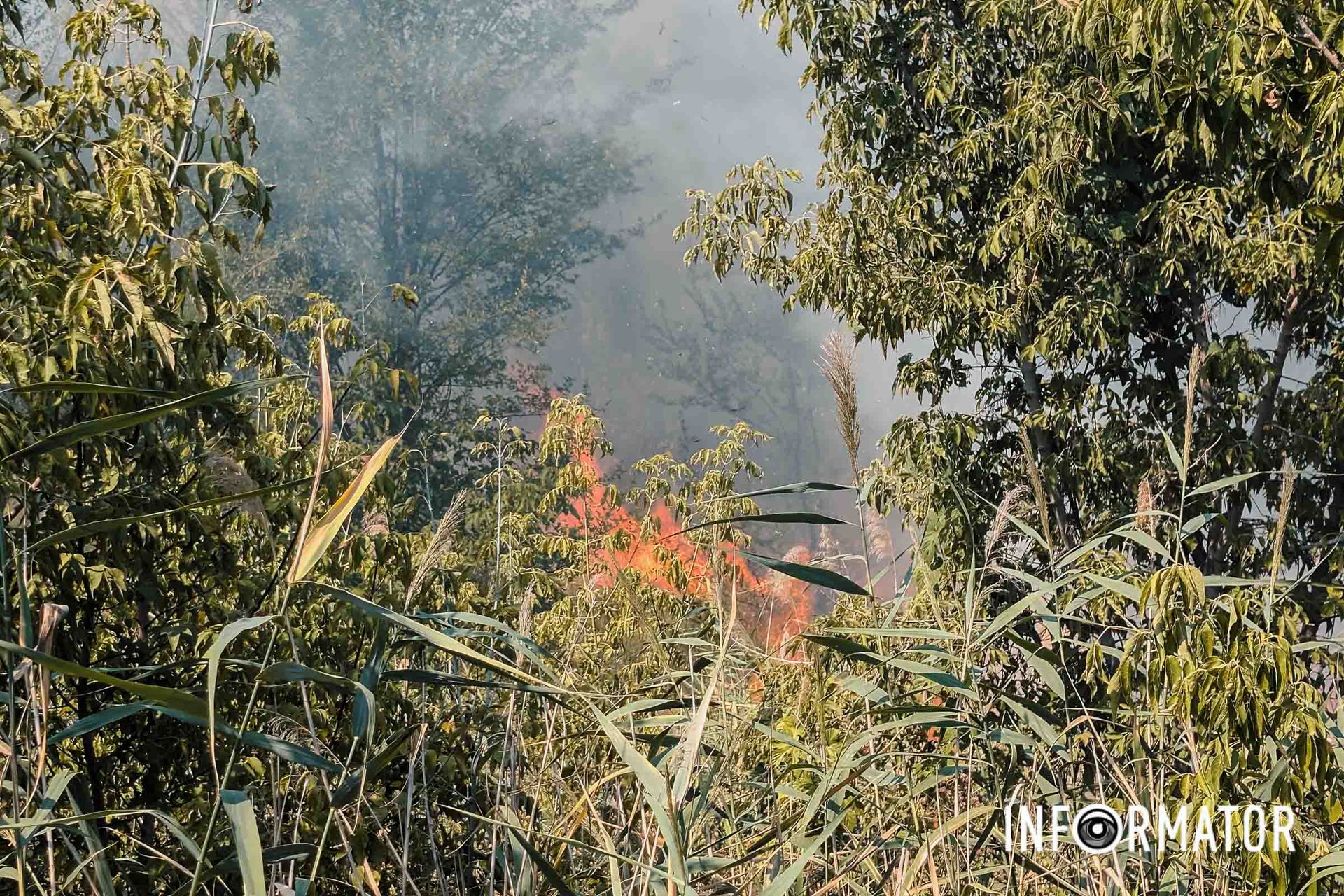 Його можна побачити навіть з віддалених кутків правого берега