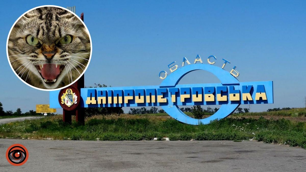 Виявили випадок сказу: у селі в Дніпропетровській області ввели карантинні обмеження