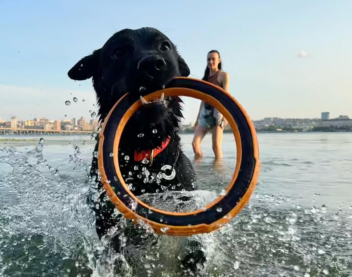 Фото: @labr__night Если бы у Днепра был Instagram: топ красивых фотографий города 2