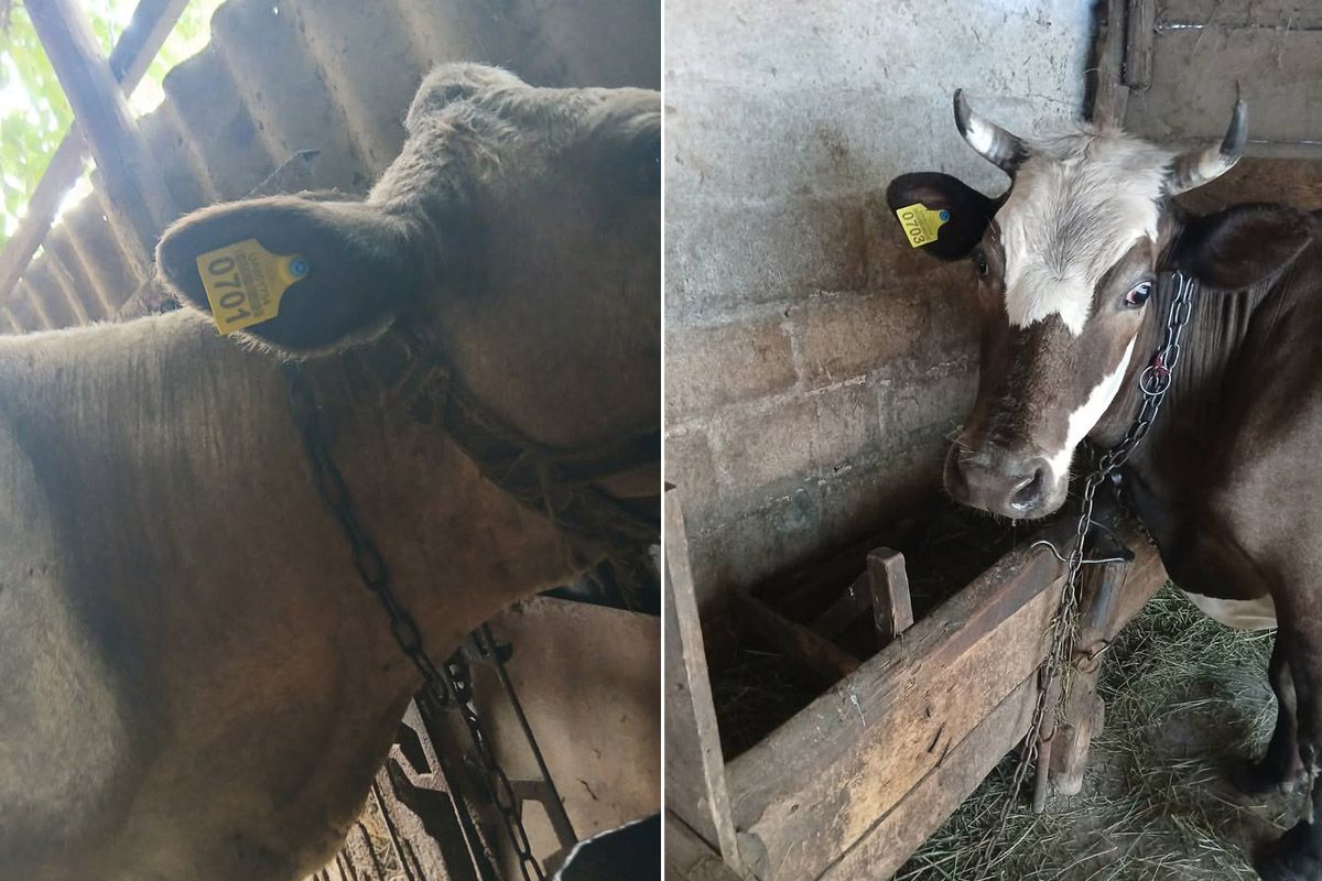 Они не касаются деятельности на занимаемой должности Они не касаются деятельности на занимаемой должности